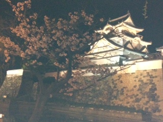 お城と桜のコラボ☆