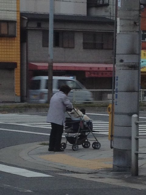 犬とおばあさん