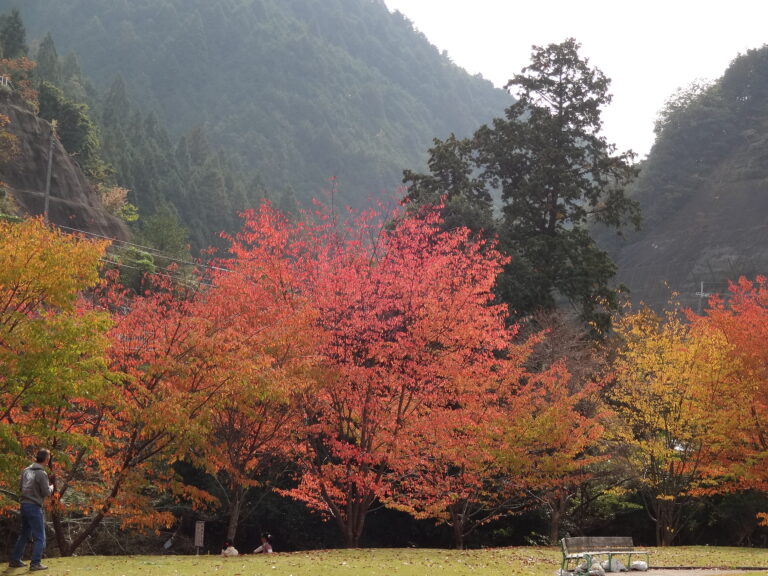 紅葉シーズン♫