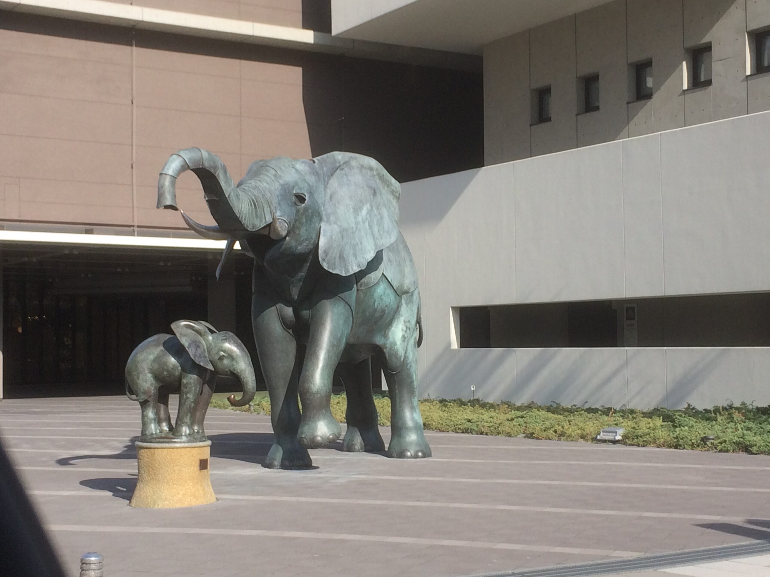 象の像 お気に入りの像？象？ | 愛101（岸和田市）