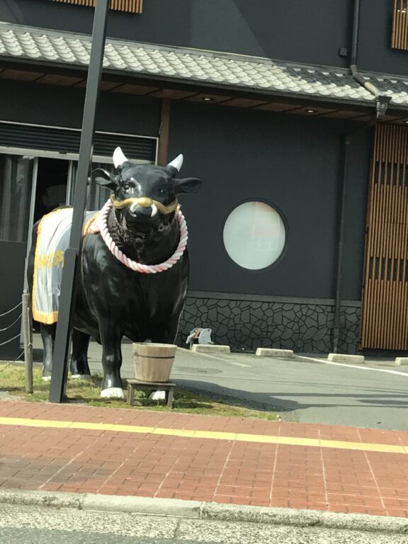 桜ドライブの帰り