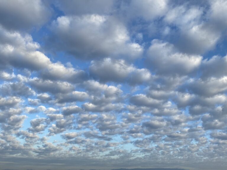 今朝の空🌥