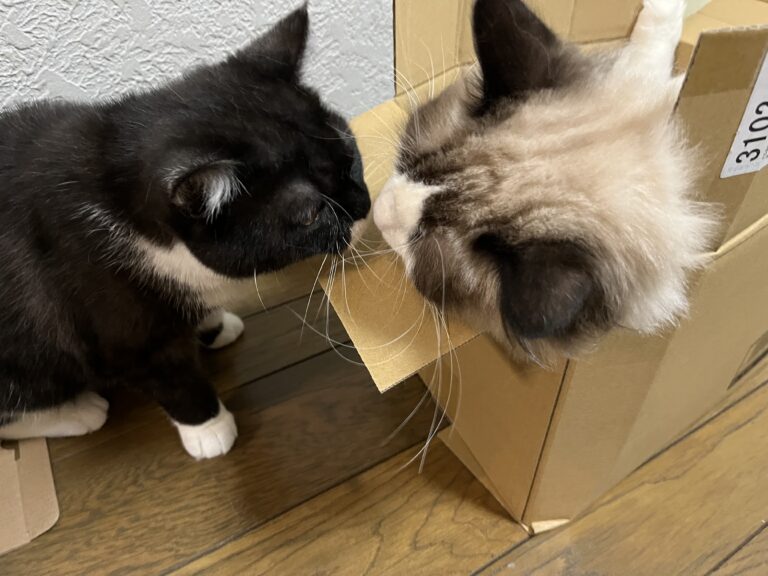 すっかり仲良し💕