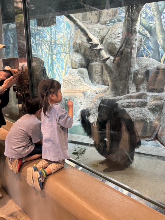 大阪の動物園といえば～