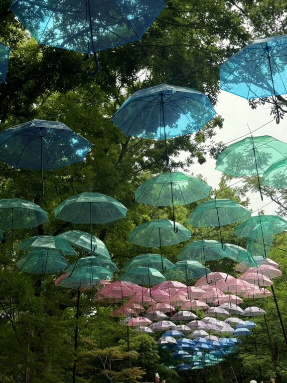 紫陽花祭り💛